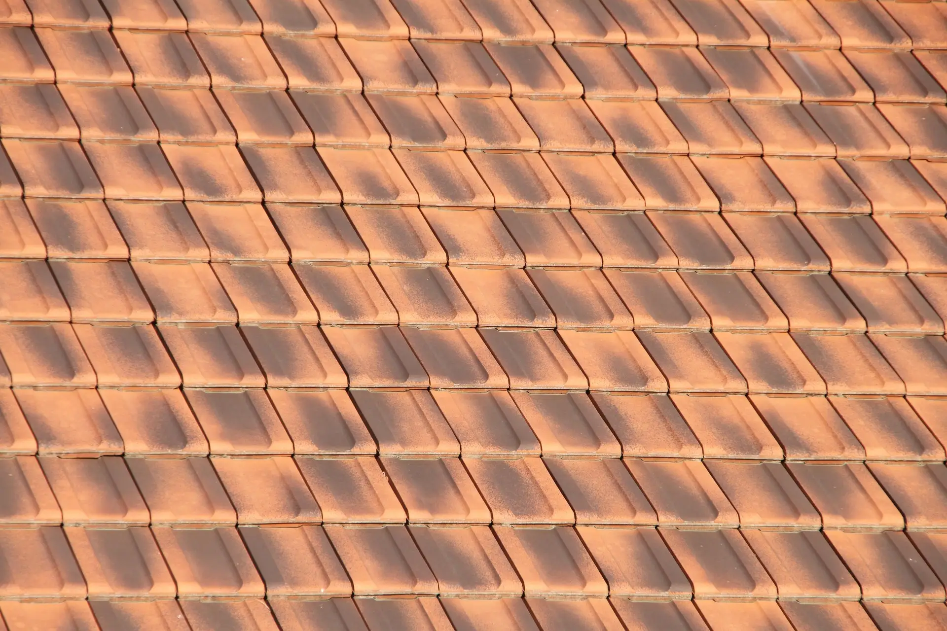 Toiture en tuiles plates en terre cuite aux tons nuancés
